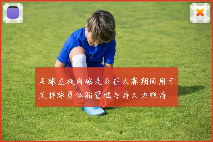 足球左旋肉碱是否在大赛期间用于支持球员体脂管理与持久力维持