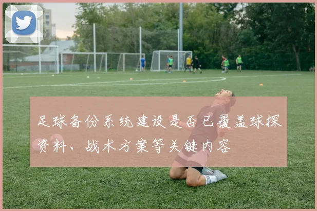 足球备份系统建设是否已覆盖球探资料、战术方案等关键内容