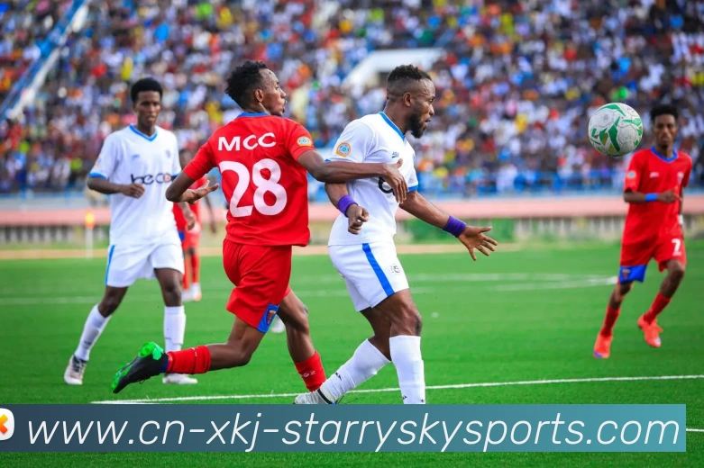 星空体育平台生态图